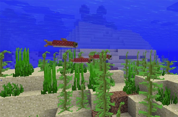лосось в Minecraft 1.13